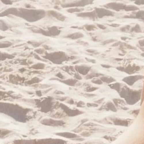 Laetitia, "Photographie", 2024      /      15 x 20